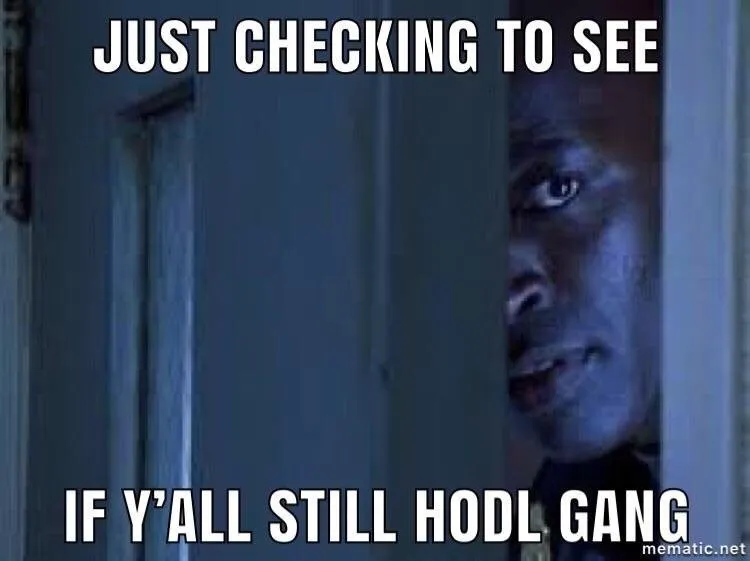 HODL = Hold On for Dear Life