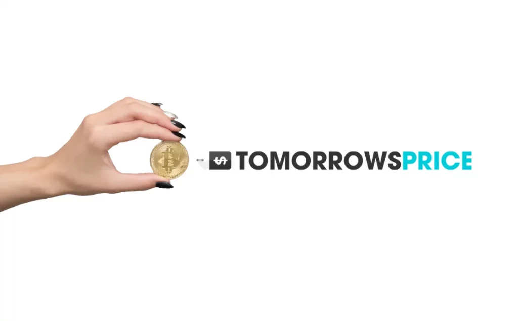 What is TomorrowsPrice and its Affiliate Program? 18 What is TomorrowsPrice and its Affiliate Program