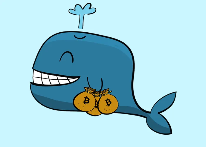 What are Crypto Whales?