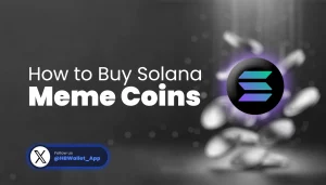 How to Buy Solana Meme Coins Using HB Wallet
