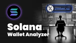 Solana Wallet Analyzer: Top 3 for Whale Wallet Analysis