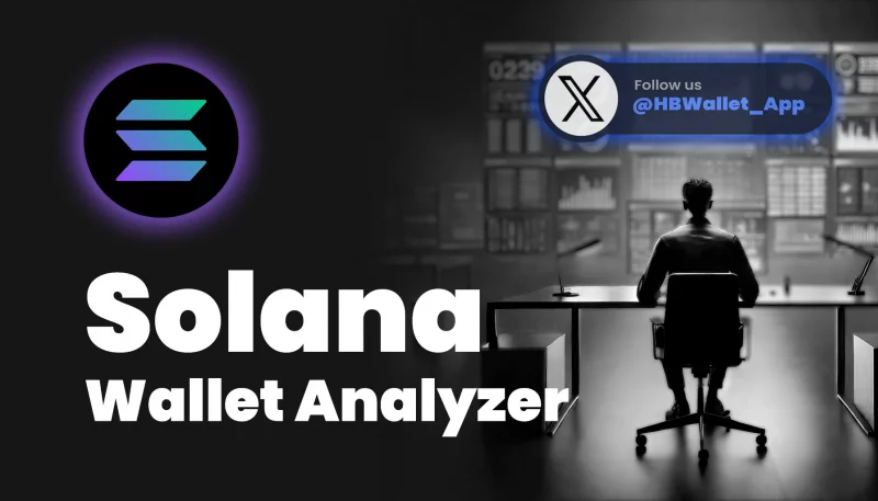 Solana Wallet Analyzer: Top 3 for Whale Wallet Analysis 8 Solana Wallet Analyzer