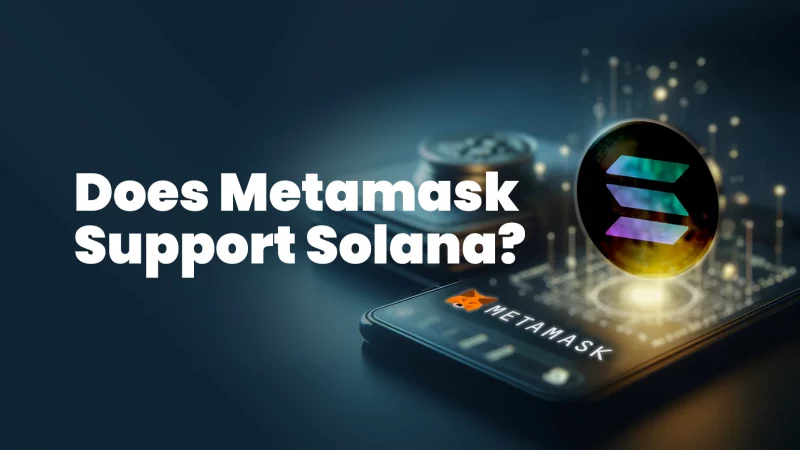 Does MetaMask Support Solana? A Deep Dive Into Compatibility and Workarounds 5 Does Metamask support Solana image